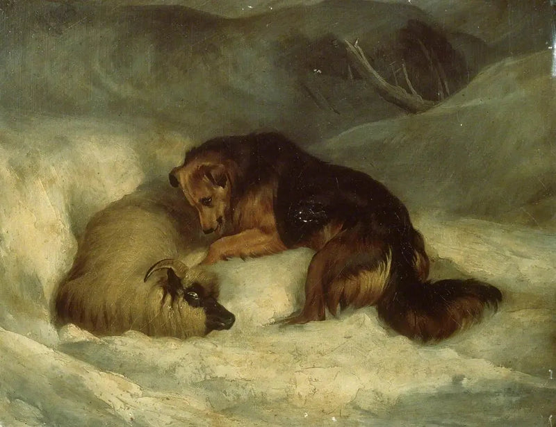 Owczarek Highland w śniegu (dawniej znany jako „Owczarek ratujący barana z zaspy”) - Edwin Henry Landseer