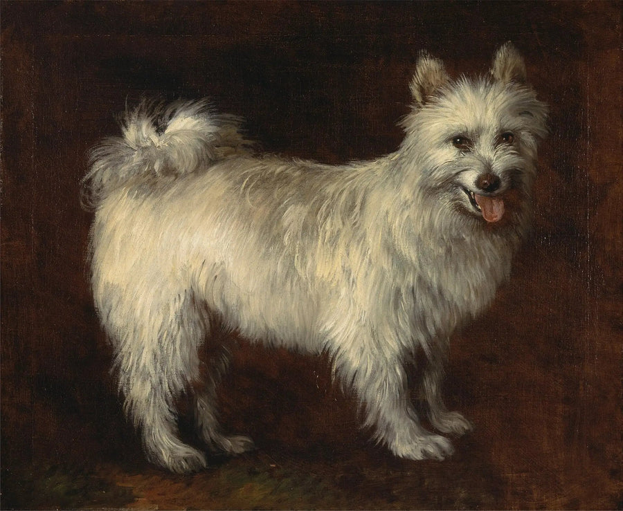 Pies Spitz - Thomas Gainsborough