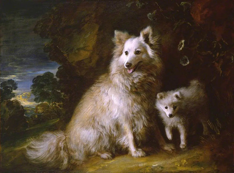 Pies i szczenię pomeranian - Thomas Gainsborough