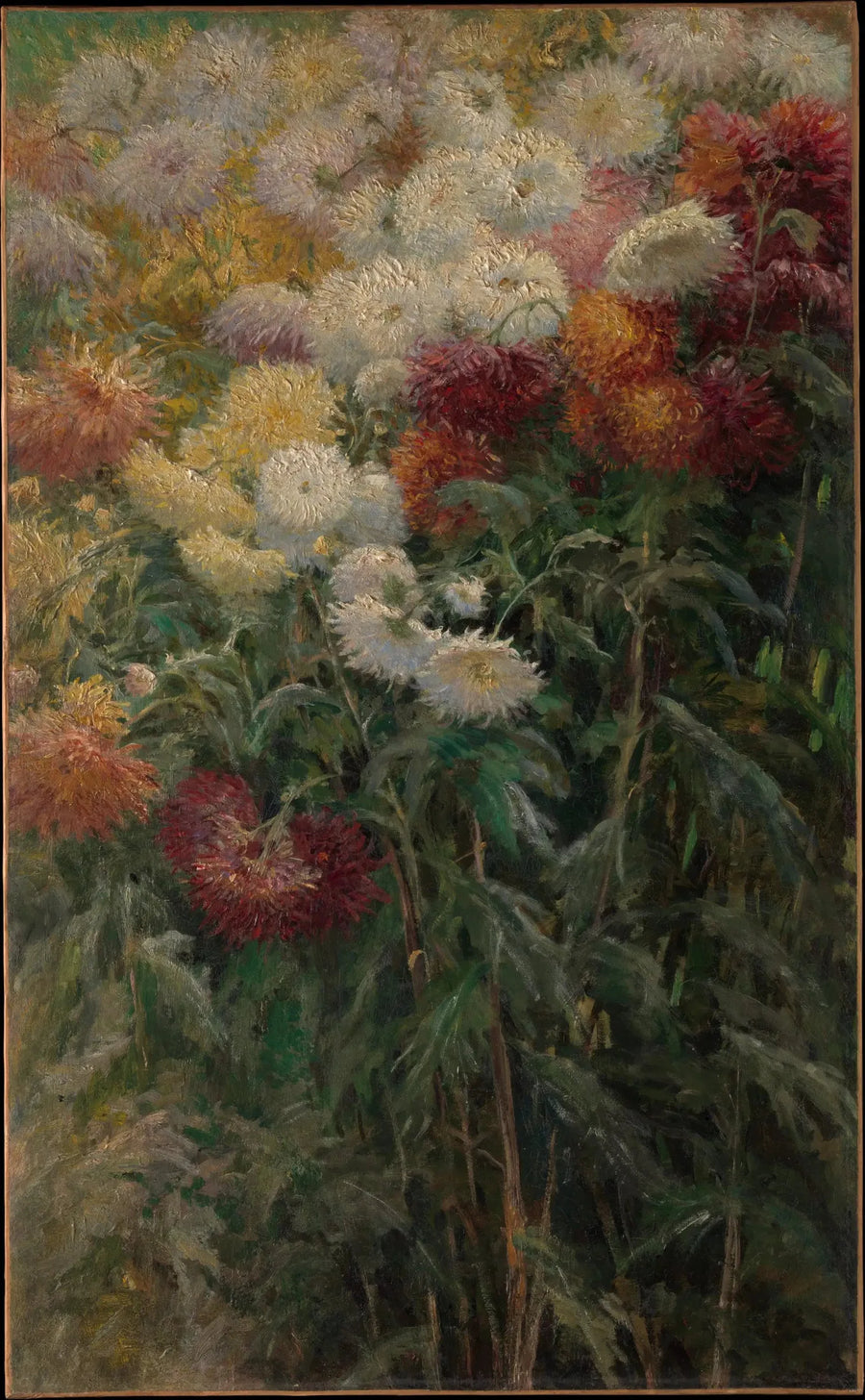 Chryzantemy w ogrodzie Petit Gennevilliers - Gustave Caillebotte