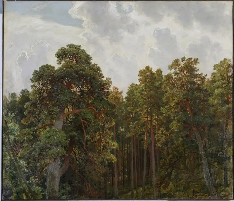 Cimes de pins - Ivan Chichkine - Alpha Reproduction