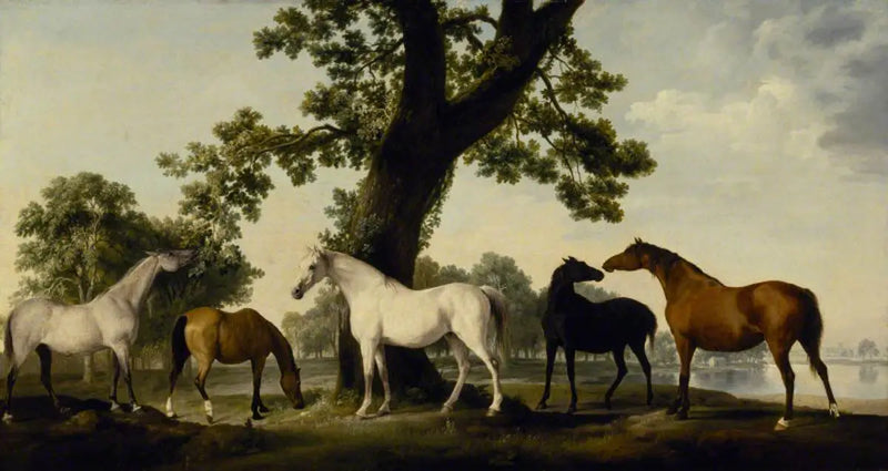 Pięć klaczy z hodowli księcia Cumberland w Wielkim Parku Windsor - George Stubbs