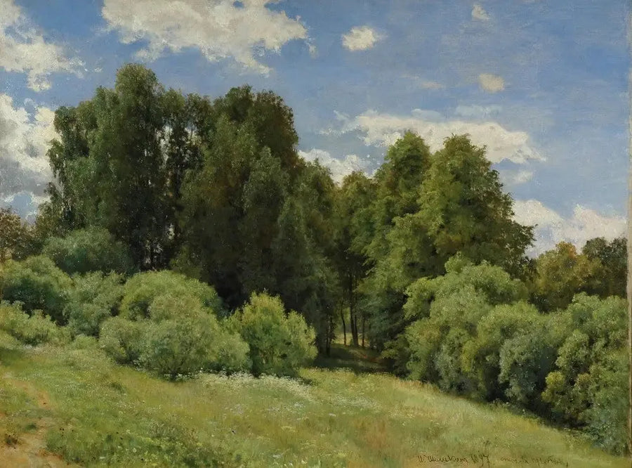 Polana (Polana w lesie) - Ivan Chichkine