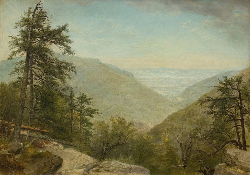 Goździk z Kaaterskill - Asher Brown Durand