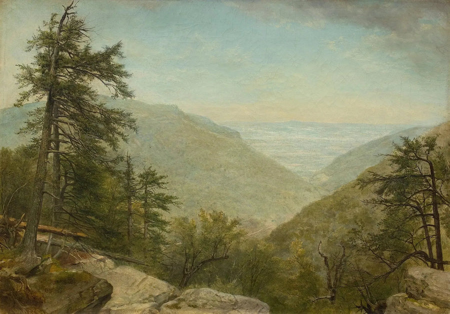 Goździk z Kaaterskill - Asher Brown Durand