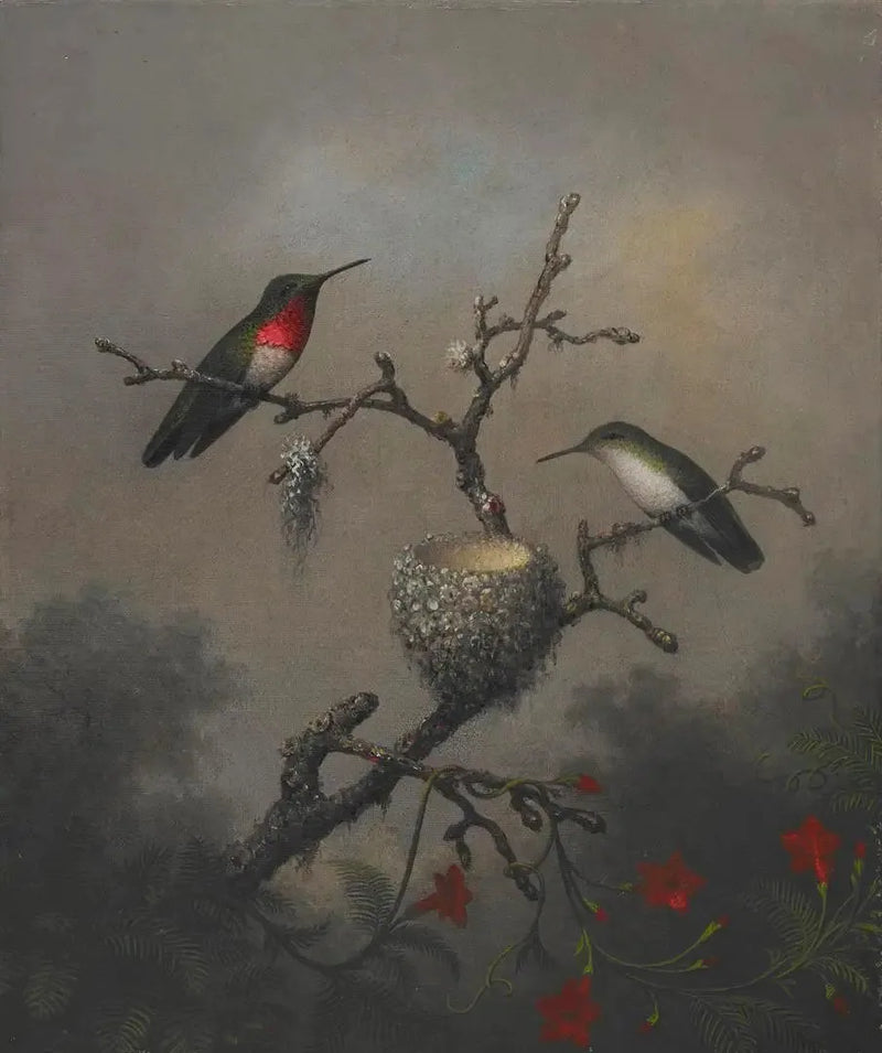 Koliber z rubinowym gardłem - Martin Johnson Heade