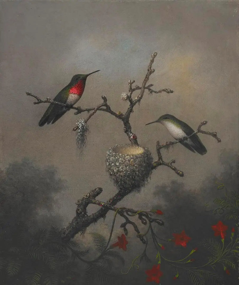 Koliber z rubinowym gardłem - Martin Johnson Heade