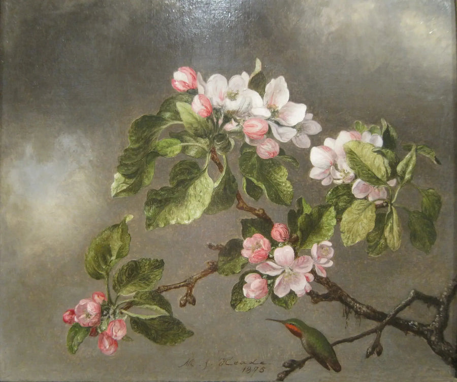 Koliber i kwiaty jabłoni - Martin Johnson Heade