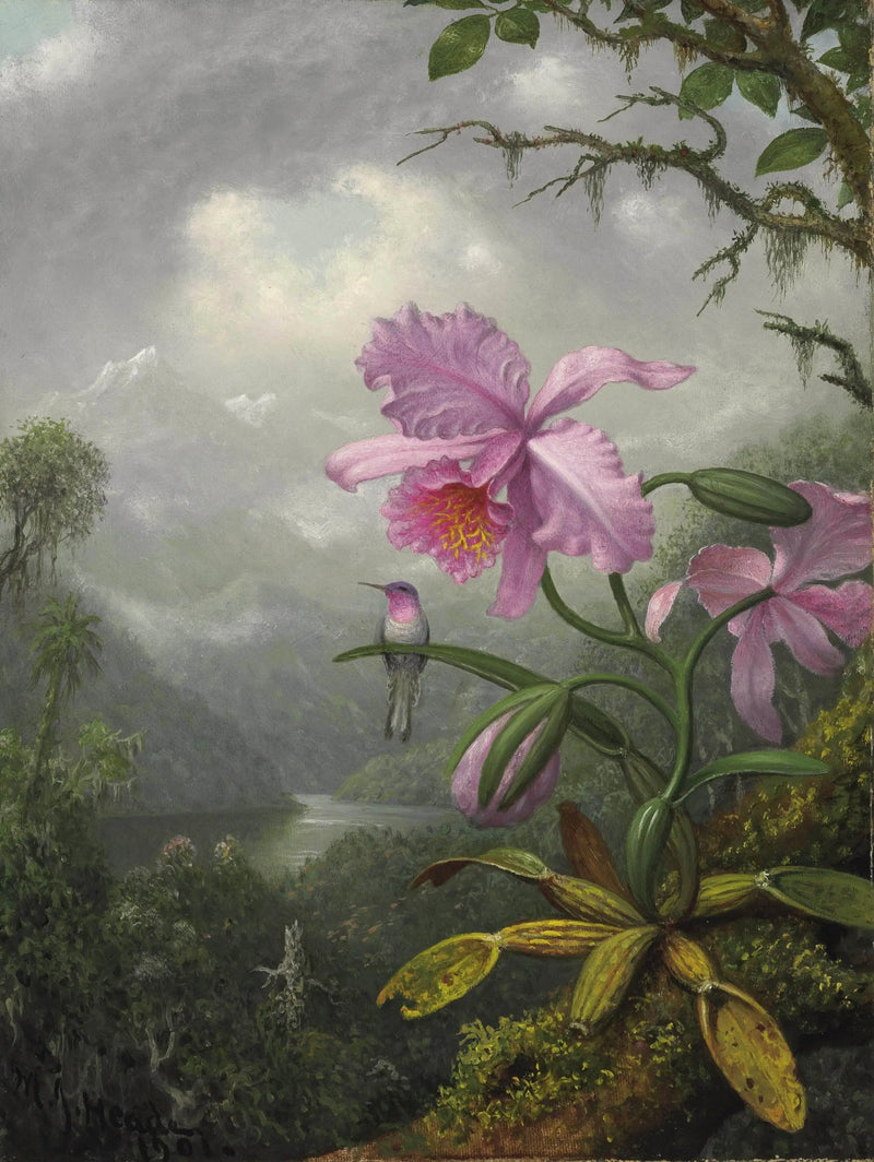 Koliber siedzący na roślinie orchidei - Martin Johnson Heade