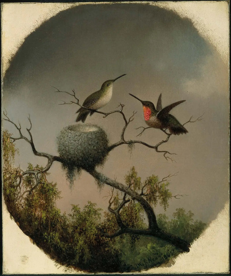 Kolibry z gniazdem - Martin Johnson Heade