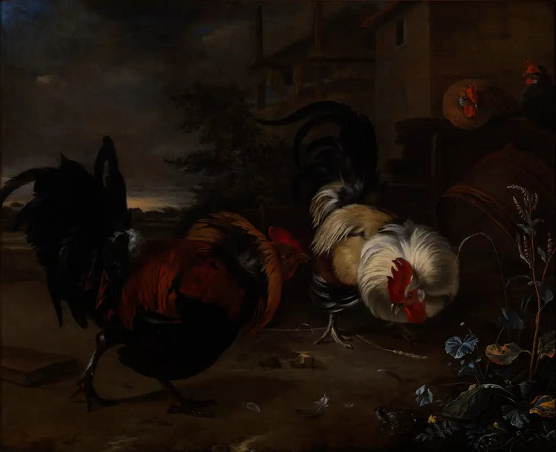 Wojna kogutów - Melchior de Hondecoeter