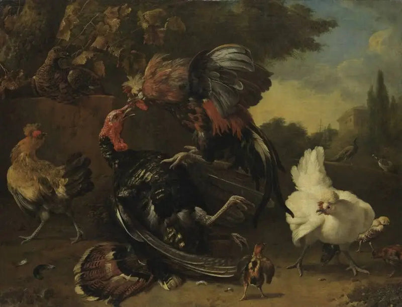 Walka koguta z indykiem - Melchior de Hondecoeter
