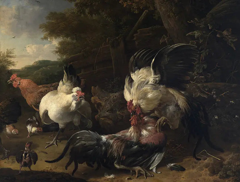 Walki kogutów - Melchior de Hondecoeter