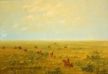 Prowadzenie przez pampę dla dzikiego bydła - Connibo - George Catlin