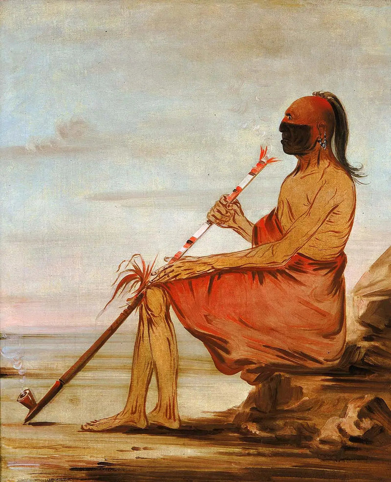 Coo-coo-coo, sowa, stary szef - George Catlin