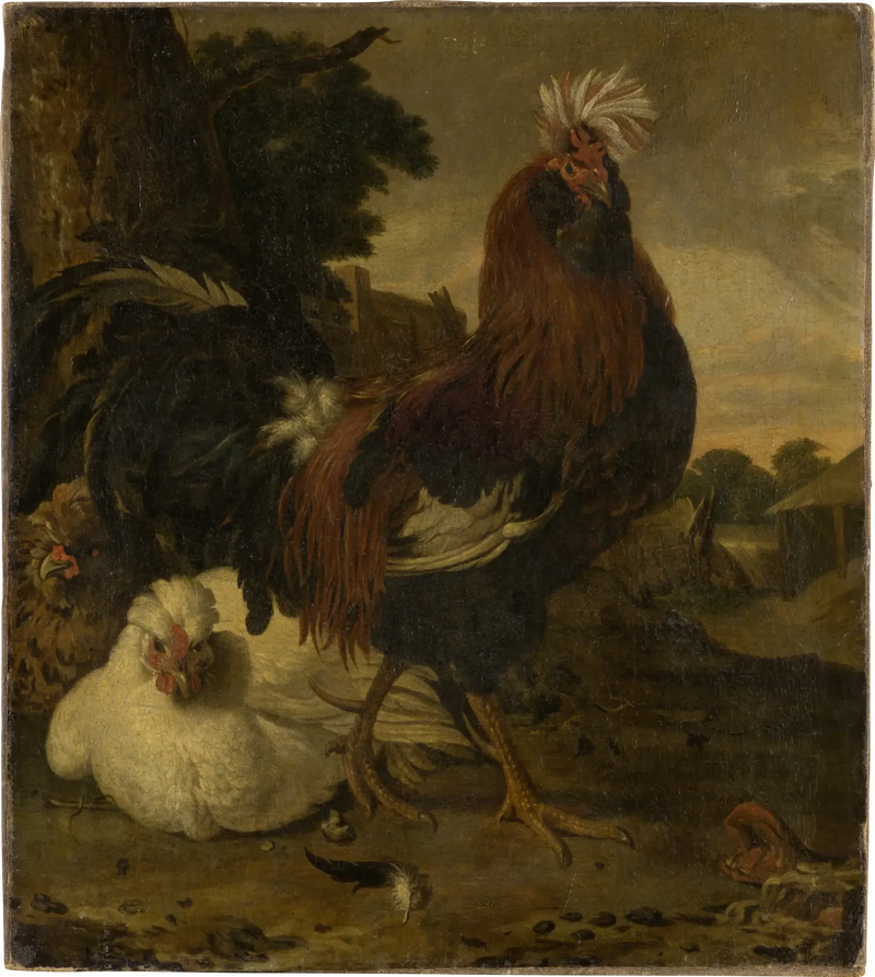 Kogut na podwórku - Melchior de Hondecoeter