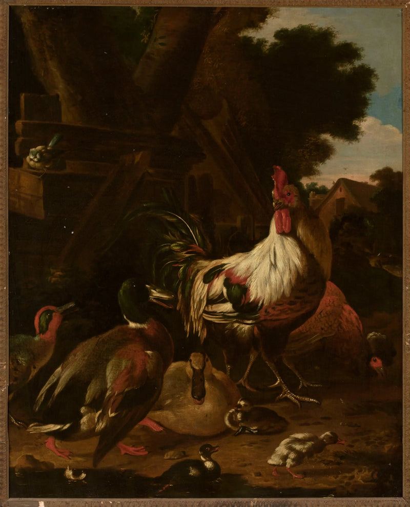 Kogut i kaczki - Melchior de Hondecoeter