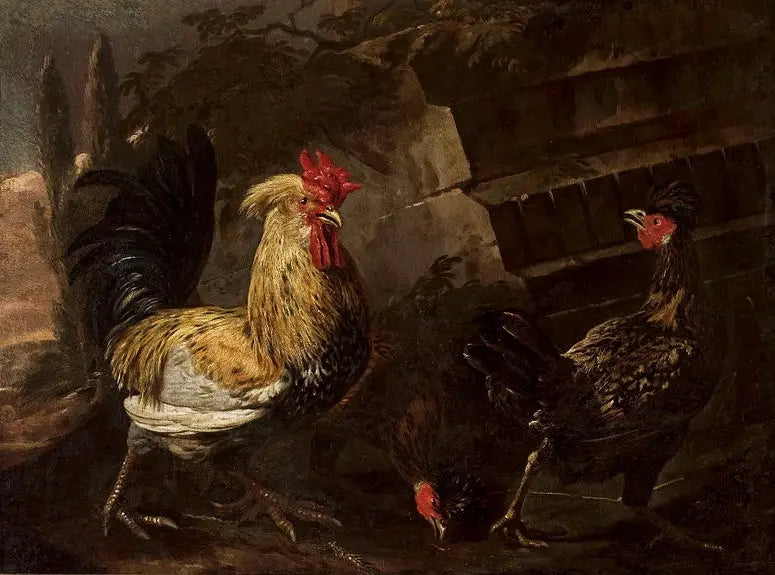 Kogut i kury. - Melchior de Hondecoeter