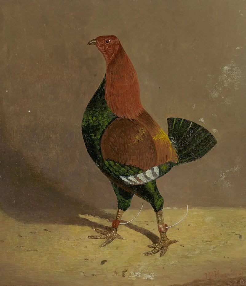 Koguty bojowe: kogut bojowy z ciemną piersią, zwrócony w lewo - John Frederick Herring, Sr.