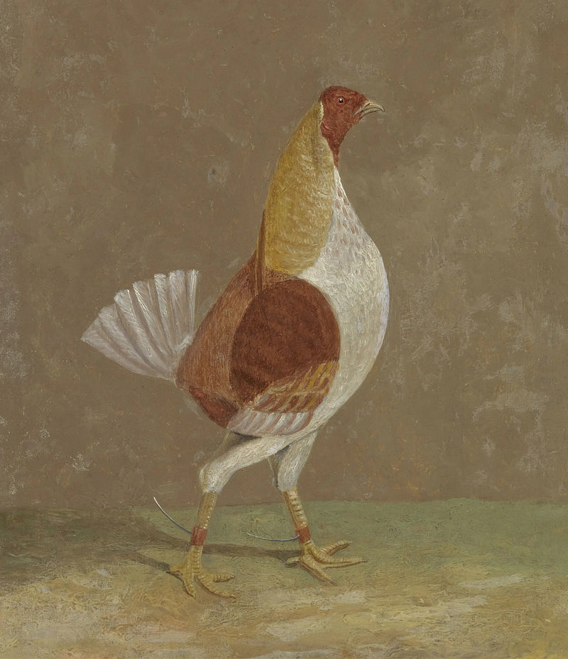 Koguty bojowe: kogut bojowy z jasną piersią, zwrócony w prawo - John Frederick Herring, Sr.