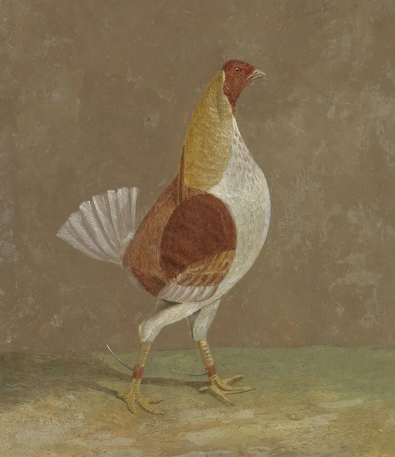 Koguty bojowe: kogut bojowy z jasną piersią, zwrócony w prawo - John Frederick Herring, Sr.