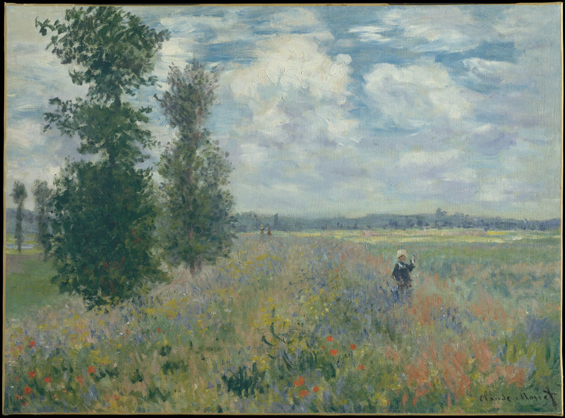 Pola maku w pobliżu Argenteuil W380 - Claude Monet