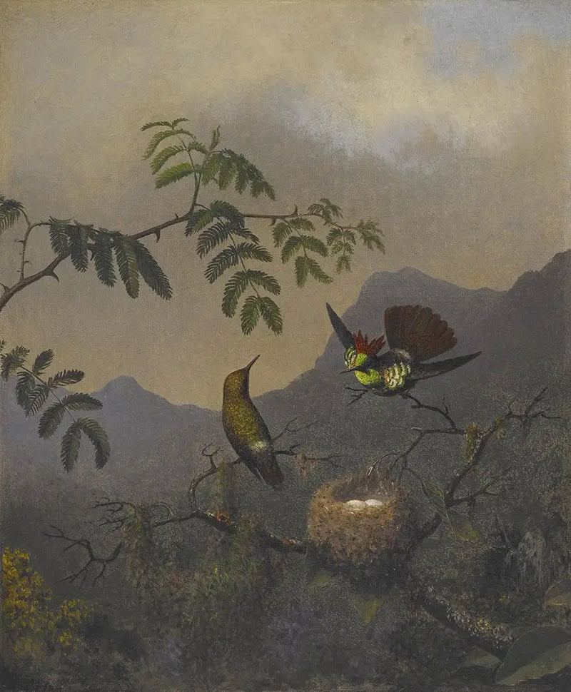 Rozporek z falbankami - Martin Johnson Heade