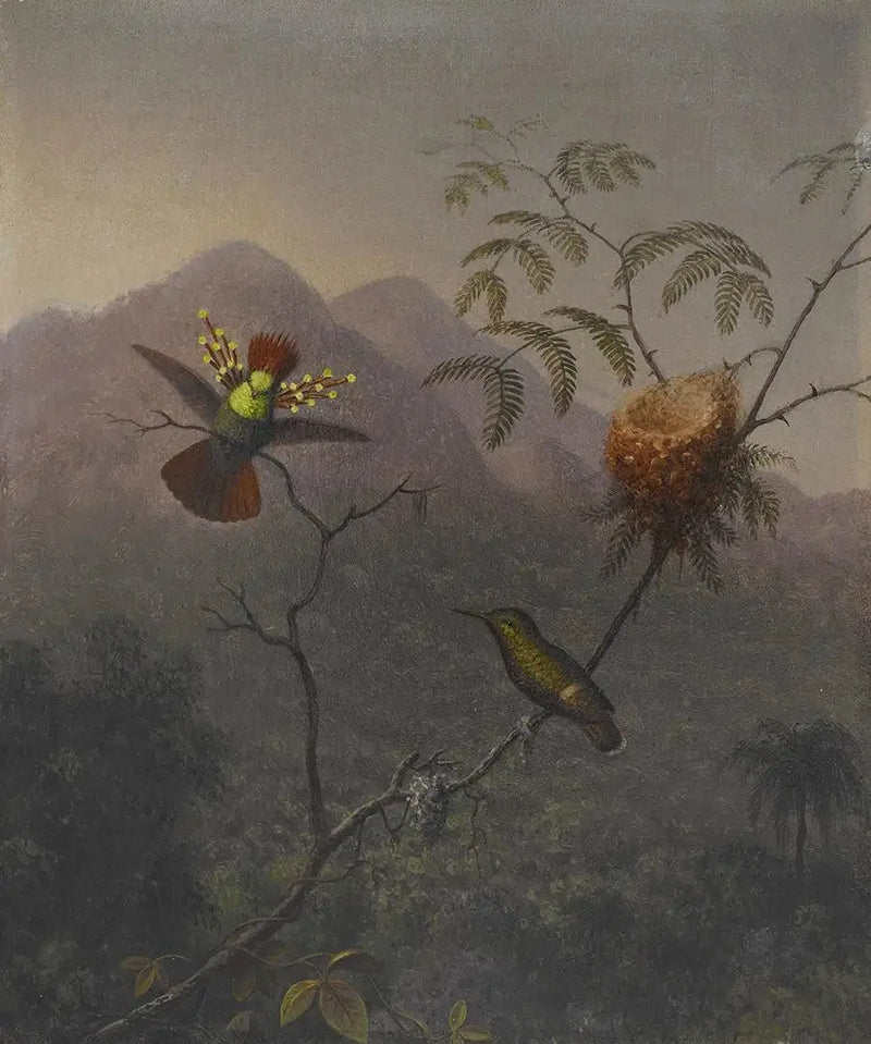 Bułeczka z gęstymi włosami - Martin Johnson Heade