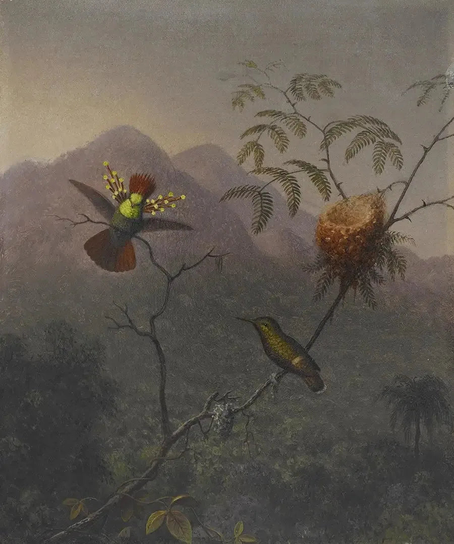 Bułeczka z gęstymi włosami - Martin Johnson Heade