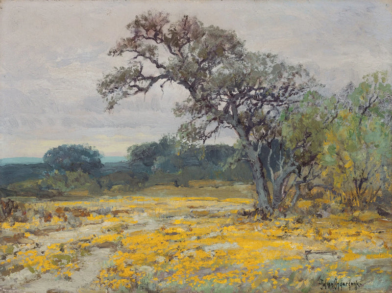 Coréopsis, niedaleko San Antonio, Teksas - Julian Onderdonk
