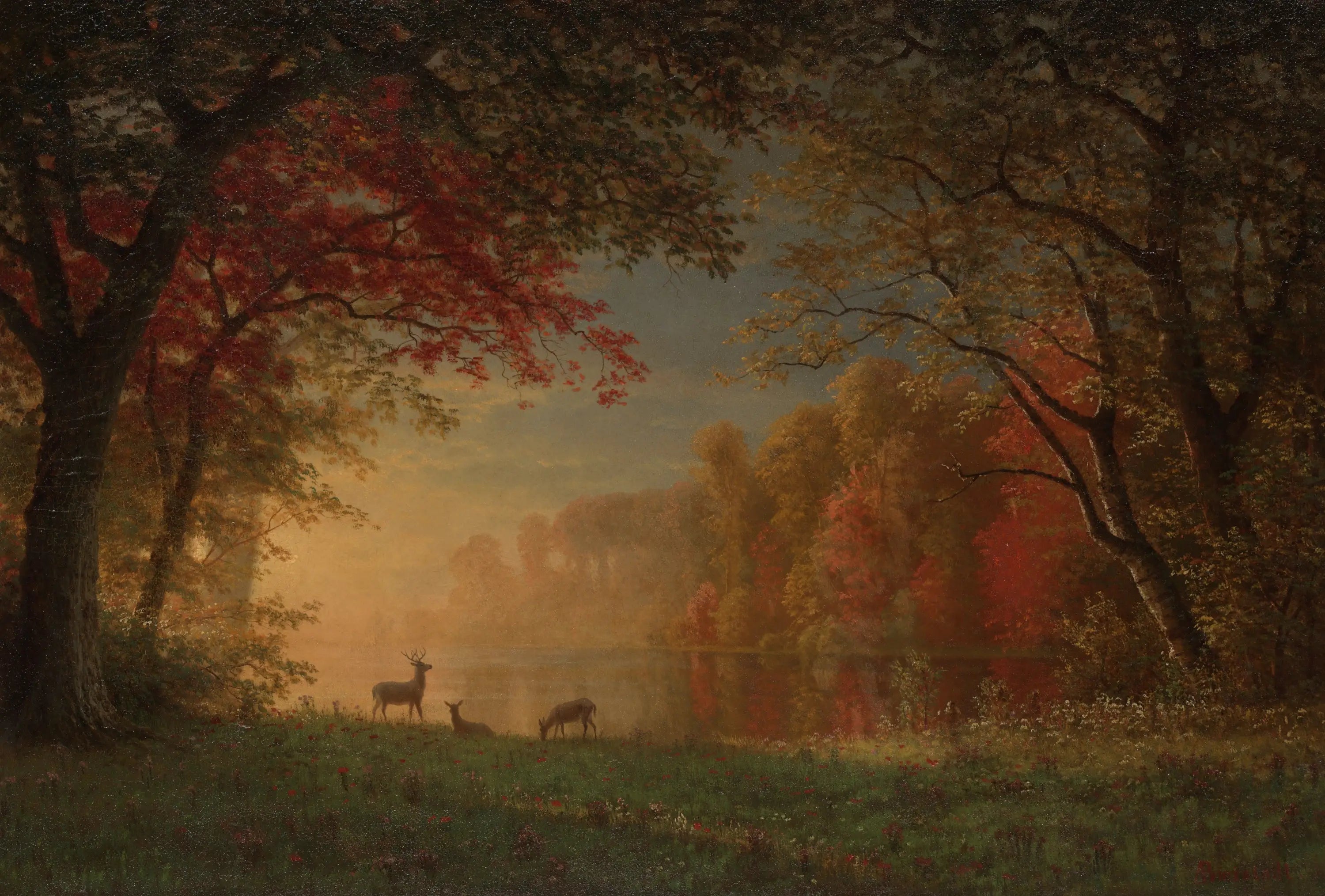 Coucher de soleil indien : cerf au bord d’un lac - Albert Bierstadt - Alpha Reproduction