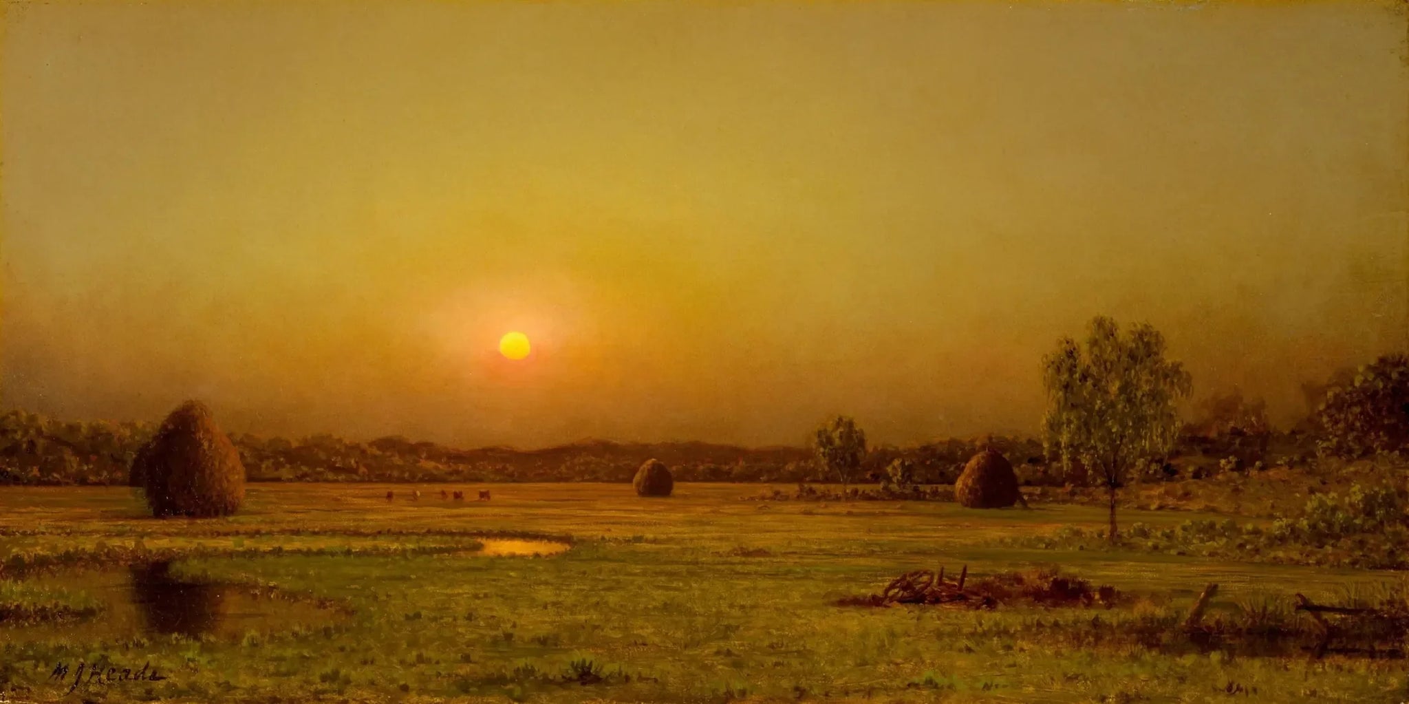 Coucher de soleil sur les marais, Newburyport, Massachusetts - Martin Johnson Heade image 1 reproduction d’œuvre d’art à l’huile