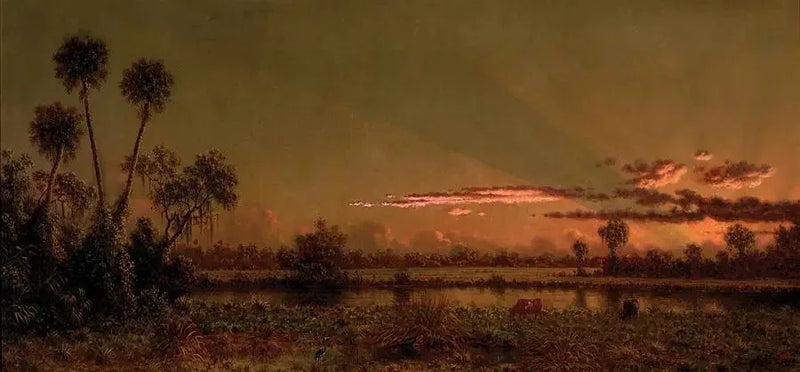 Tropikalny zachód słońca: mokradła na Florydzie - Martin Johnson Heade