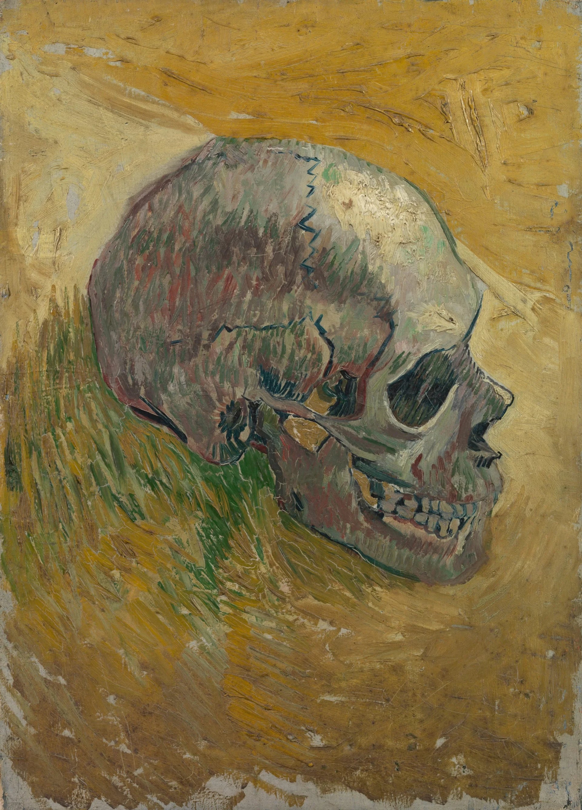 Crâne F297 de Vincent van Gogh, Van Gogh Museum