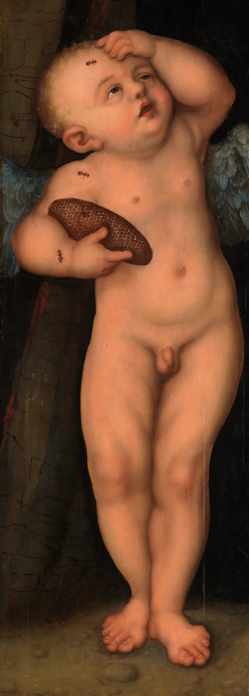 Kupidyn jak złodziej miodu - Lucas Cranach Starszy