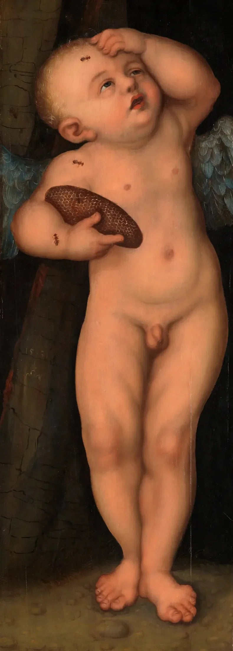 Kupidyn jak złodziej miodu - Lucas Cranach Starszy