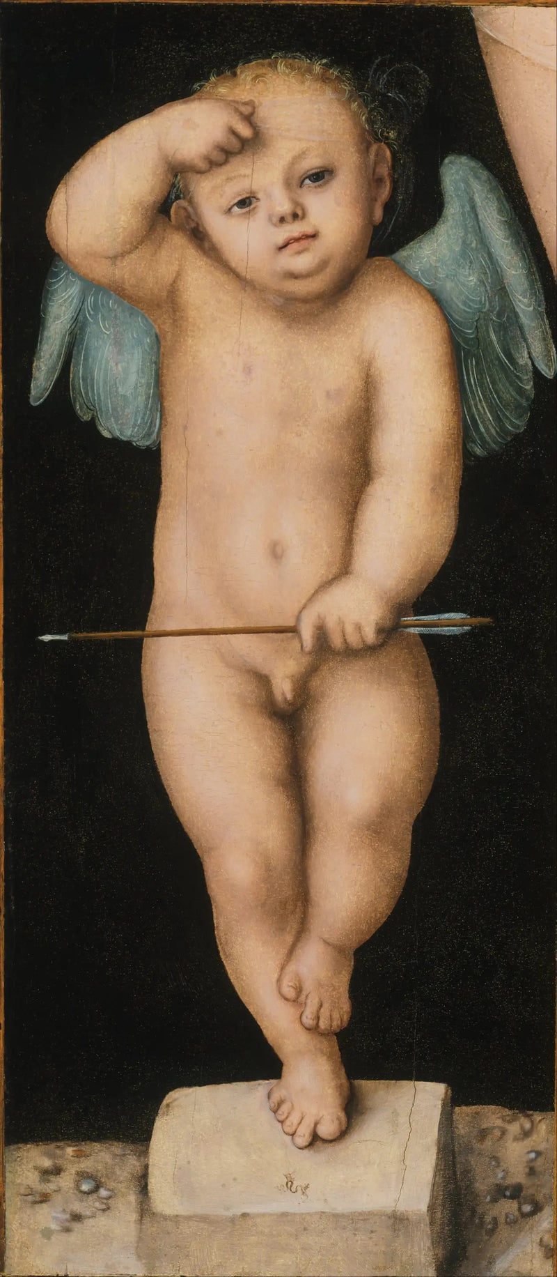 Kupidyn - Lucas Cranach Starszy