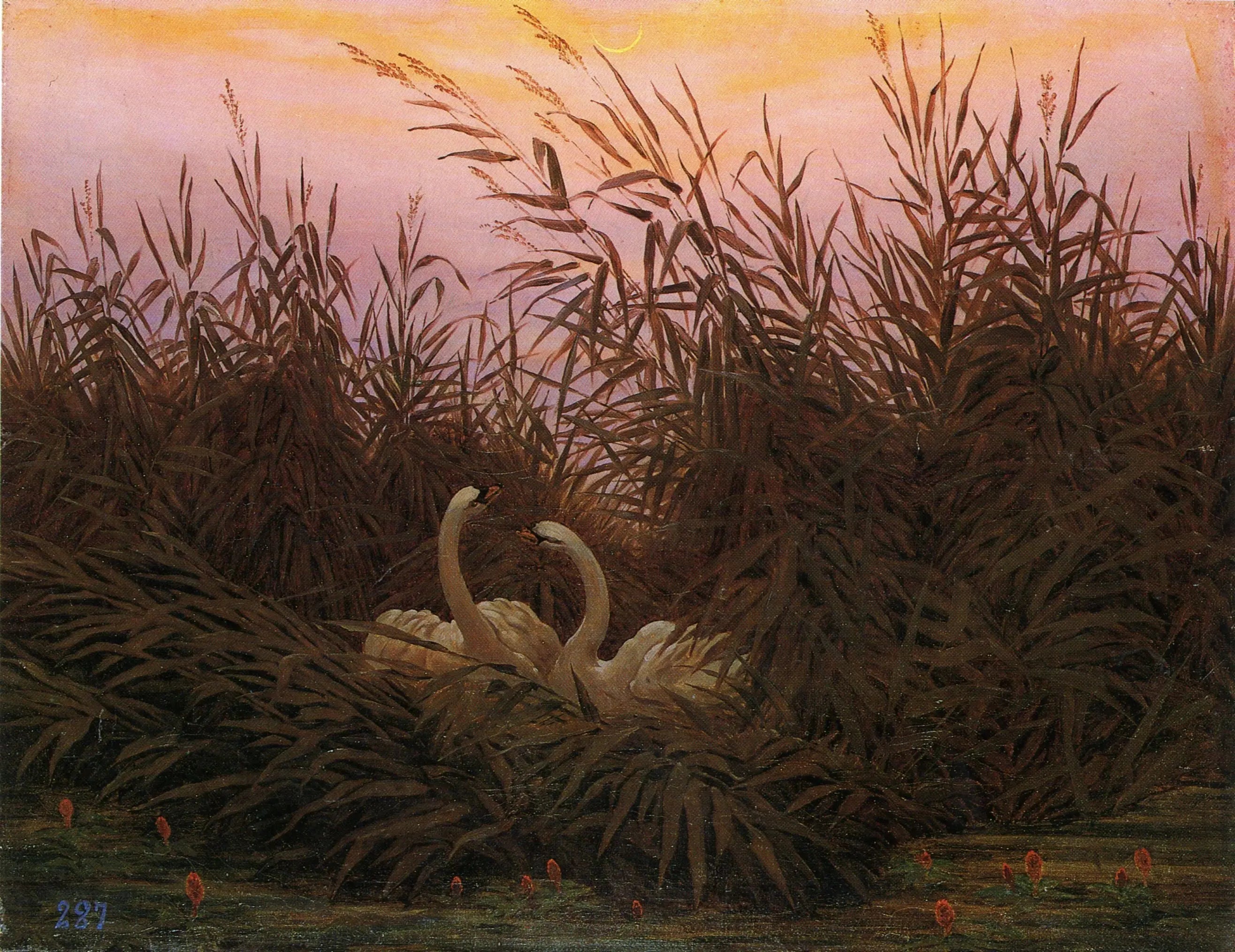 Reproduction du tableau « Cygnes dans les roseaux à la première aube - Caspar David Friedrich » par Alpha Reproduction en peinture à l’huile