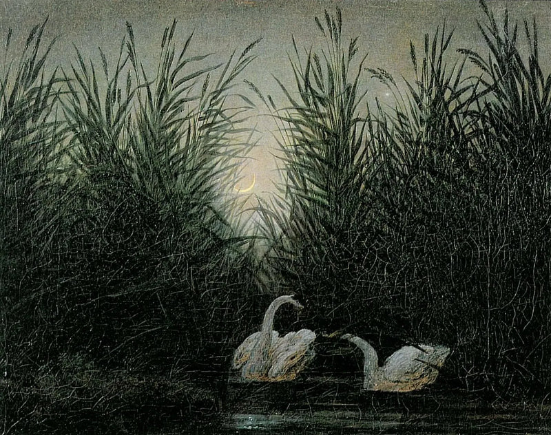 Łabędzie w trzcinach o wczesnych promieniach świtu - Caspar David Friedrich