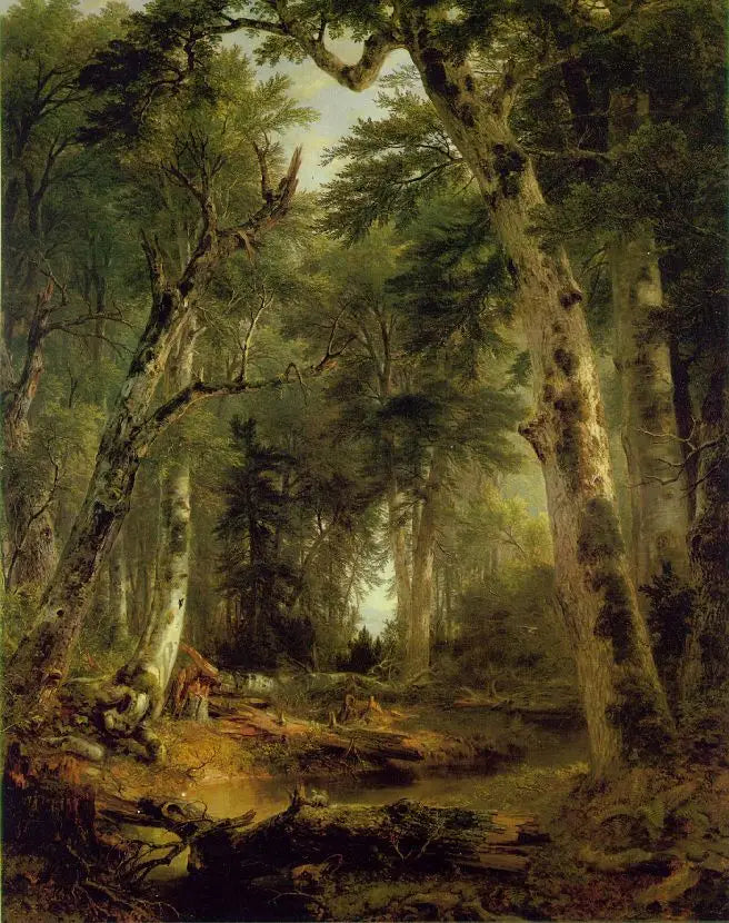 W lasach - Asher Brown Durand