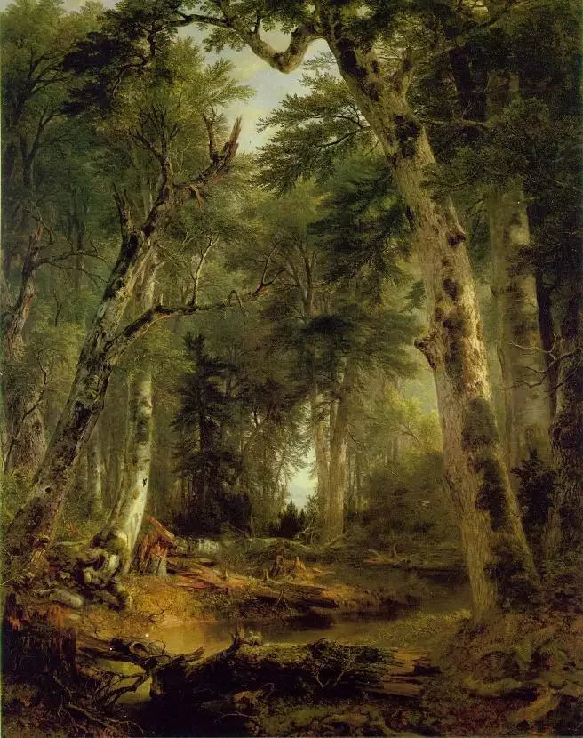 W lasach - Asher Brown Durand