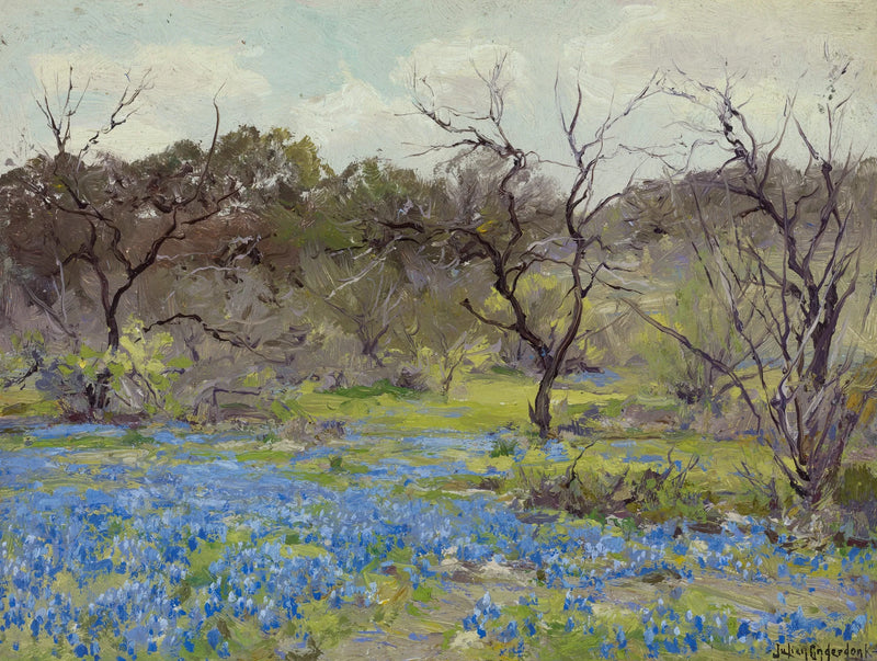 Początek wiosny — Niebieskie lupiny i mesquite - Julian Onderdonk