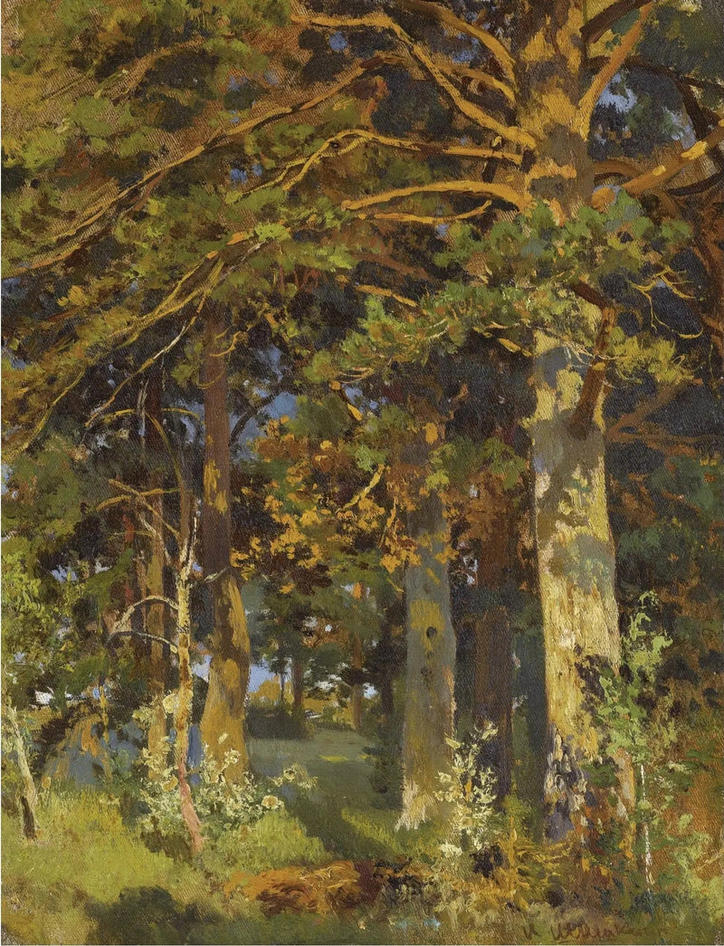 Wycinka leśna - Ivan Chichkine