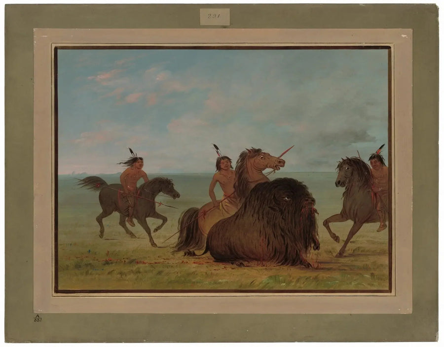 Des Camanchees wypuszczają samca bizona - George Catlin