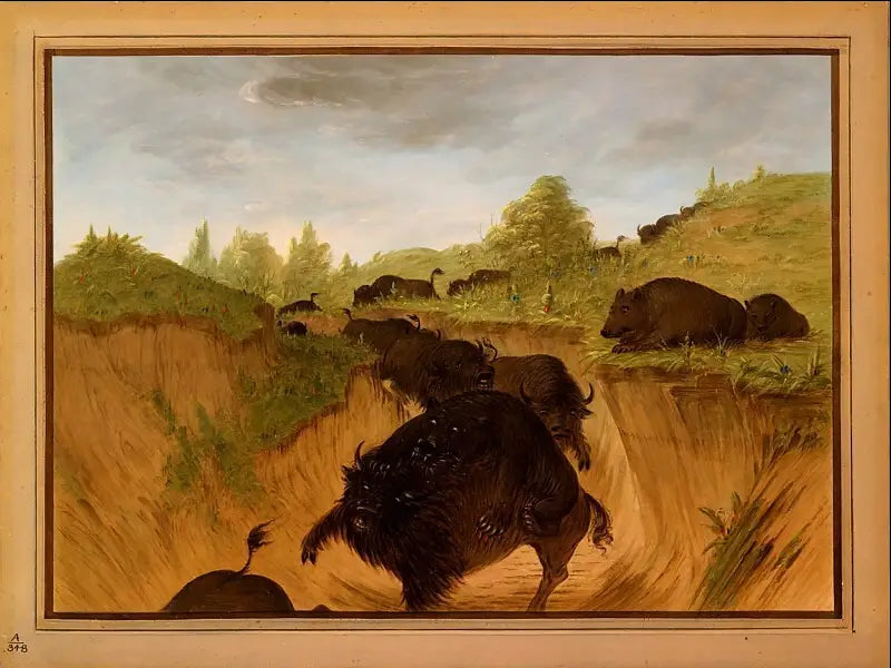Grizzly atakują bizony - George Catlin