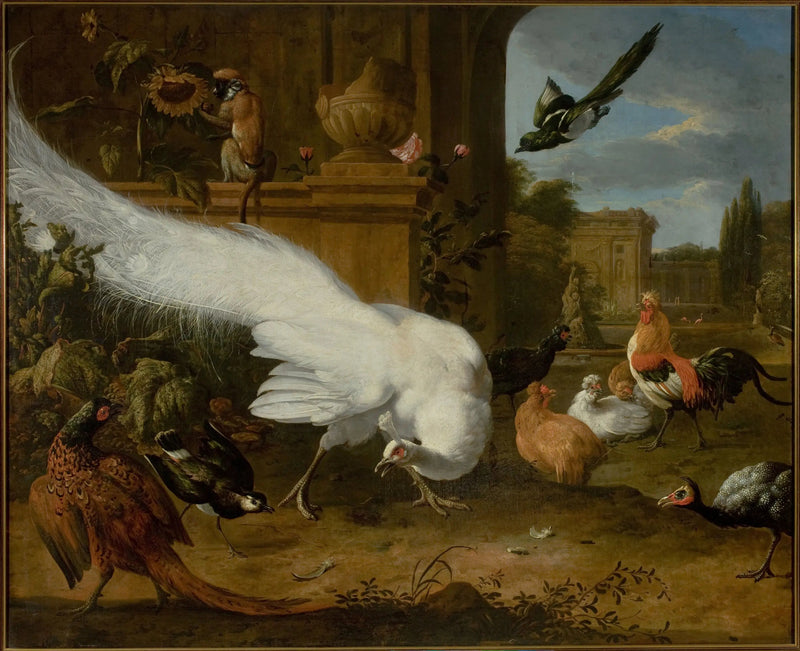 Drób i biały paw - Melchior de Hondecoeter