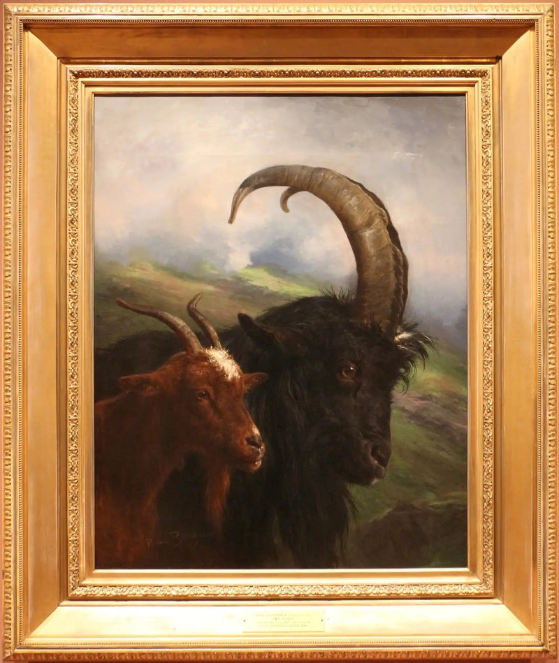 Dwie kozy - Rosa Bonheur