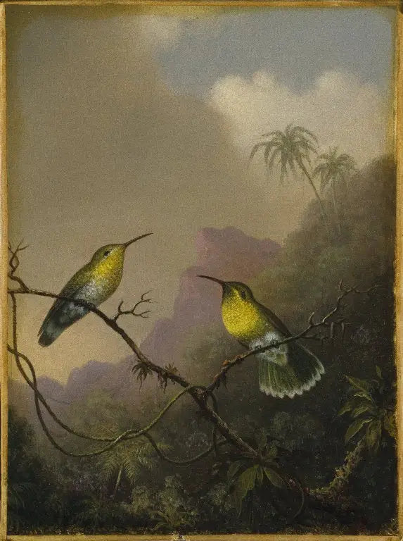 Dwa kolibry: amazilia z ogonkiem miedzianym - Martin Johnson Heade