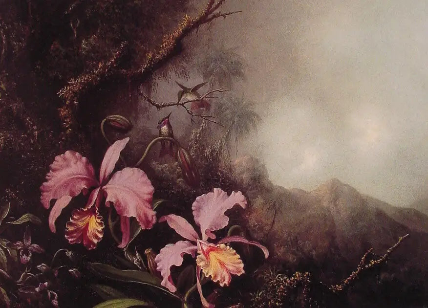 Deux orchidées dans un paysage de montagne - Martin Johnson Heade - Alpha Reproduction