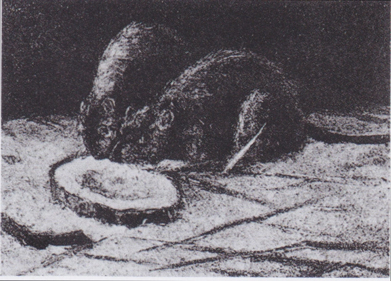 Dwa szczury - Vincent van Gogh